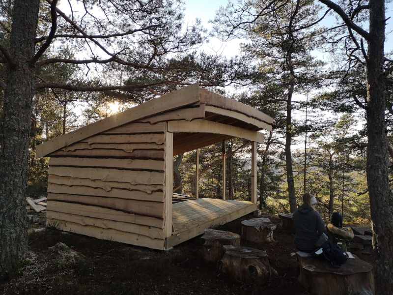 8. november 2020. Ny gapahuk settes opp på Hestefjellet.