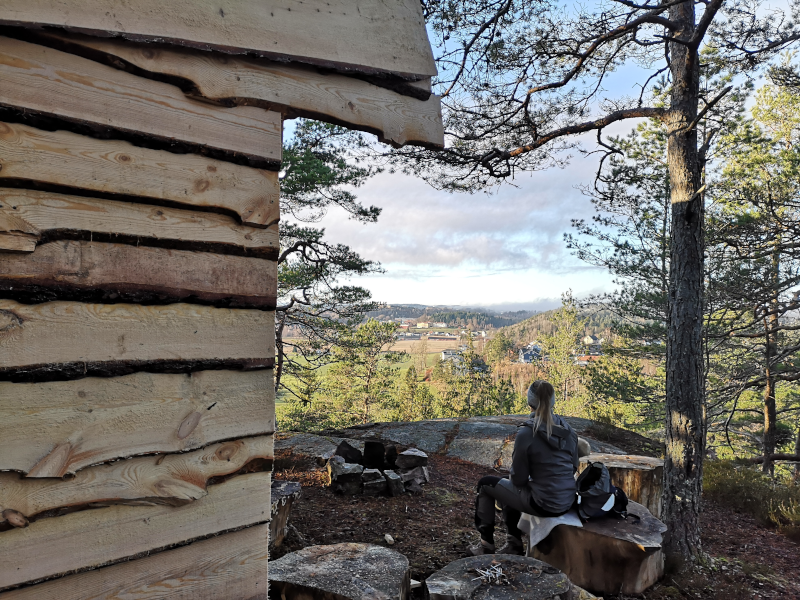 Trivsel på Hestefjellet. 8. november 2020. Ny gapahuk er under bygging.